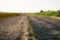 Old rural dust road in sunset light