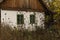 Old rural house with green wooden framed windows and wild autumn flowers