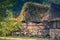 Old rural huts with roofs of reeds behind a wooden fence in the evening. Toned image