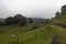 An old rural path in middle of colombian countryside mountains with a little monoliths