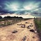 Old rural road with abandoned shoes