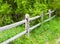 Old rural wood fence in overgrown bushes