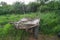 Old Russian carriage against the background of green grass. Cart. Dray.