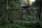 Old russian rickety wooden fence made of narrow boards in front of village house among trees and dense grass