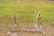 Old rust football goal abandoned soccer goal field located on the ground