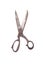 Old rusted dressmaker shears