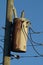 Old rusted electrical transformer on wood pole