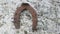 Old rusted horseshoe