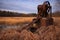 old, rusted-out water pump in rural setting