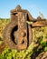 Old rusted pulley in a vineyard
