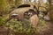 Old rusted scrap car in a forest