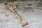 Old rusted shovel on the cement floor.