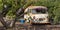 Old and rusted Spanish SAVA van in an avacado field