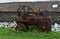 Old Rusted Steam Tractor Sitting in a Bunch of Rubble