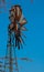 An old rusted windmill in the Kalagadi Game Reserve.