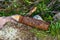 Old rusted World War II ammunition shell of artillery