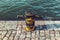 Old rusted yellow mooring bollard on stone pier