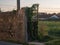 Old, rustic, cast iron gate overgrown with vines / ivy, in rough stone wall in Portugal.