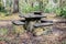 Old, Rustic Concrete Picnic Table And Benches In A Park Setting