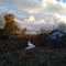 Old rustic heritage cottage in Finn Slough Steveston British Columbia