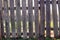 Old, rustic picket fence around garden