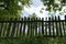 Old rustic picket fence and wild vegetations