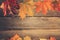 Old rustic retro autumn concept with wet maple leaves on wooden