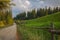 Old rustic road wooden fence green grass