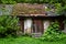 Old rustic shabby small shed in grass and woods