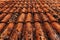 Old rustic terracotta roof tiles pattern as background