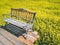 Old rustic vintage wooden bench in summer cosmos flowers field Background . Spending time among nature on holiday concept idea