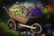 Old rustic wheelbarrow containing lovely colorful flowers