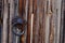 Old rustic wooden door with knob