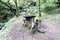 Old and rustic wooden table with benches for picnics in a glade