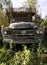 Old rusting cars and trucks left for nature to reclaim