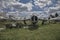 Old rusty abandoned airplane in the open air.