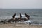 old, rusty abandoned and dismantled pier. sky space is empty. suitable for writing.