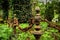 Old rusty banister with chain on a graveyard