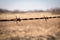 Old, rusty barbed wire. Boundary, barrier and prohibition