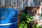 Old rusty barrels near a wooden fence