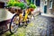 Old rusty bicycle with flowers