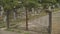 Old rusty black wrought iron closed gates close up. The road to Christian Russian cemetery or graveyard with graves, crosses