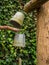 Old rusty buckets hanging from pole