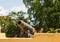 Old Rusty Cannon on Plaster Wall