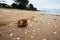 Old rusty cans on the beach