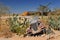 Old and rusty car wreck at the last gas station before the Namib desert. Solitaire, Namibia