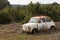 A old rusty car wreck standing in a garden