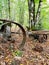 An old rusty cart with a large round wheel stands in the autumn forest