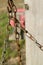 Old rusty chain and chain links, against a bokeh wooden pole and pink seat in the background, Block Island, RI