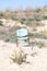 Old and rusty chair standing alone on the beach